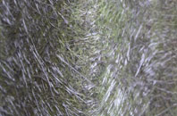 Hatton Of Fintray fibreglass roof work